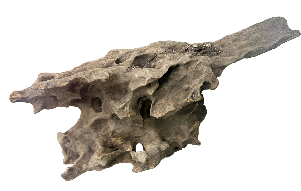  Texture / Shrimp Driftwood