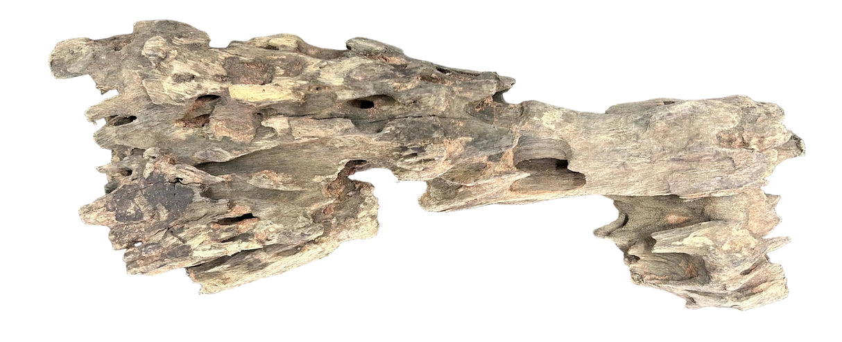 Texture / Shrimp Driftwood