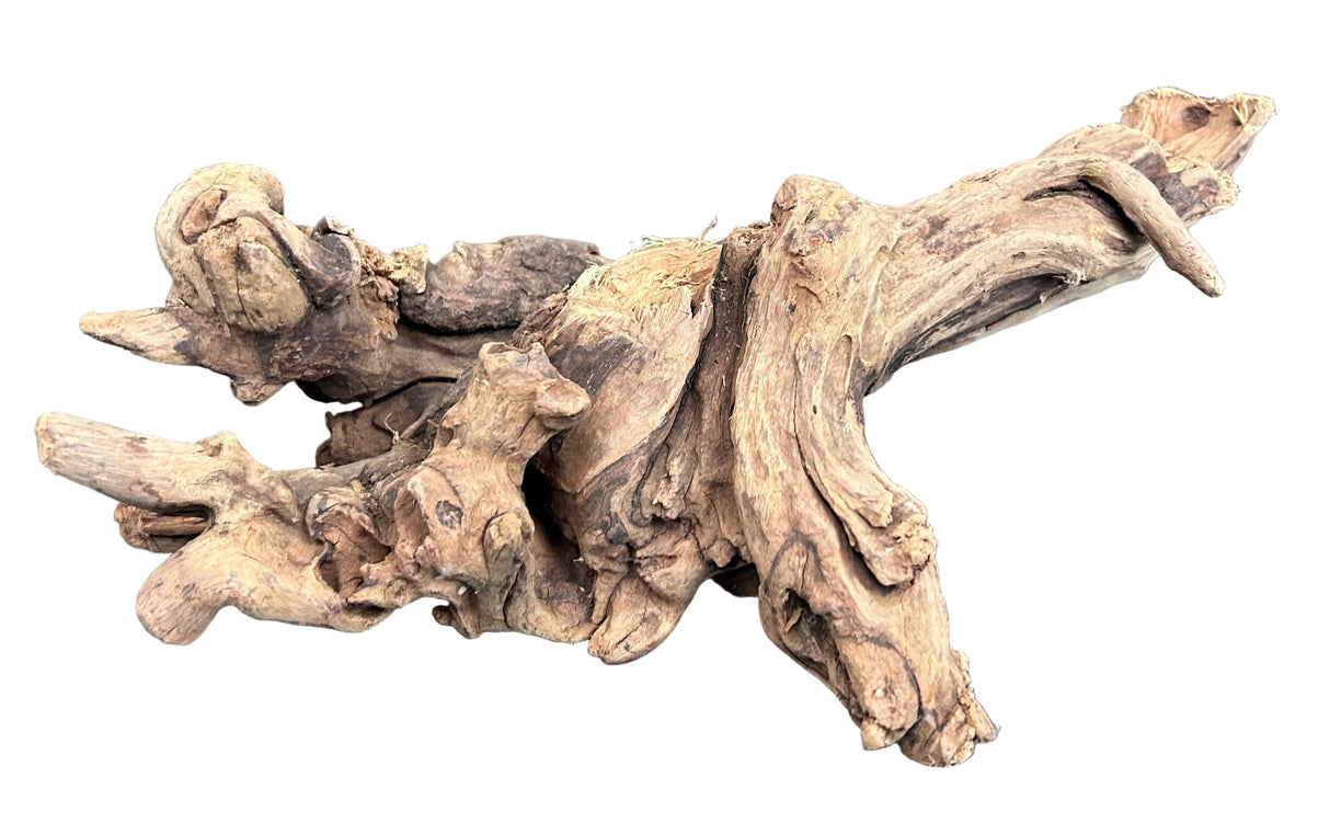 Malaysian Sinking Driftwood Wood