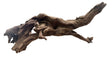 Malaysian Mangrove Sinking Driftwood