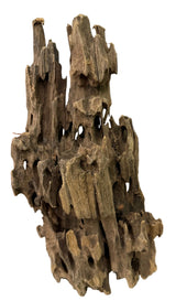 Texture / Shrimp Driftwood
