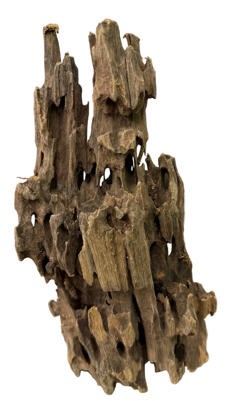 Texture / Shrimp Driftwood