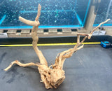 W.Y.S.I.W.Y.G.- 606 -  Large Piece of Spiderwood