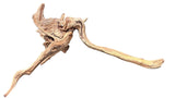 Malaysian Sinking Driftwood
