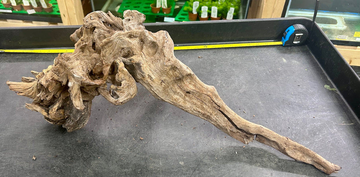 W.Y.S.I.W.Y.G.- 404 - Malaysian Mangrove Wood