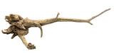  Malaysian Mangrove Sinking Driftwood