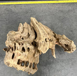 W.Y.S.I.W.Y.G.- 206 - Texture / Shrimp Driftwood