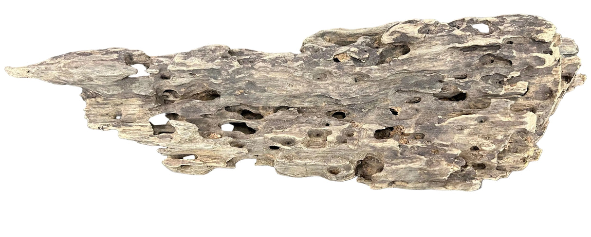 Texture / Shrimp Driftwood