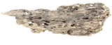 Texture / Shrimp Driftwood