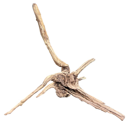Malaysian Sinking Driftwood