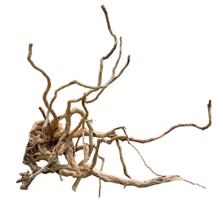 Piece of Spiderwood