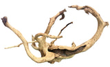 W.Y.S.I.W.Y.G.- 602-  Large Piece of Spiderwood | Substrates & Hardscape | Largest Tropical Fish Selection at Your Local Fish Store
