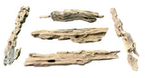 Texture / Shrimp Driftwood