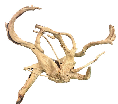 W.Y.S.I.W.Y.G.- 602-  Large Piece of Spiderwood | Substrates & Hardscape | Largest Tropical Fish Selection at Your Local Fish Store
