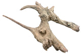 W.Y.S.I.W.Y.G.- 416 - Malaysian Mangrove Sinking Driftwood | Substrates & Hardscape | Largest Tropical Fish Selection at Your Local Fish Store