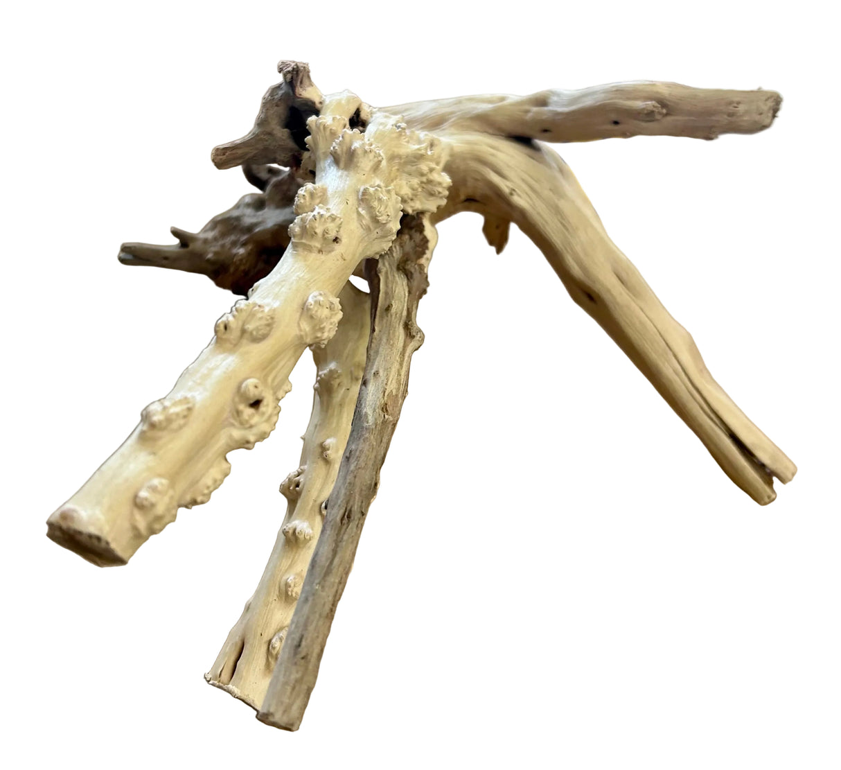 Piece of Spiderwood