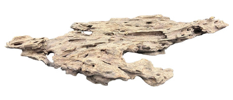 Texture / Shrimp Driftwood
