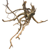 XX Large Piece of Spiderwood