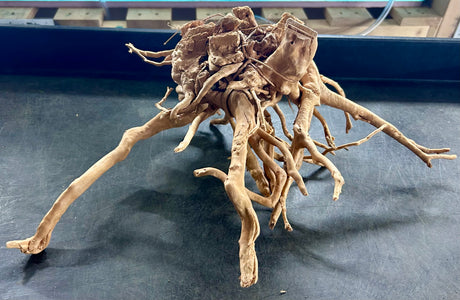 W.Y.S.I.W.Y.G.- 601 - Large Piece of Spiderwood