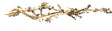 W.Y.S.I.W.Y.G.- 2009 - Thailand Branch Wood | Substrates & Hardscape | Largest Tropical Fish Selection at Your Local Fish Store