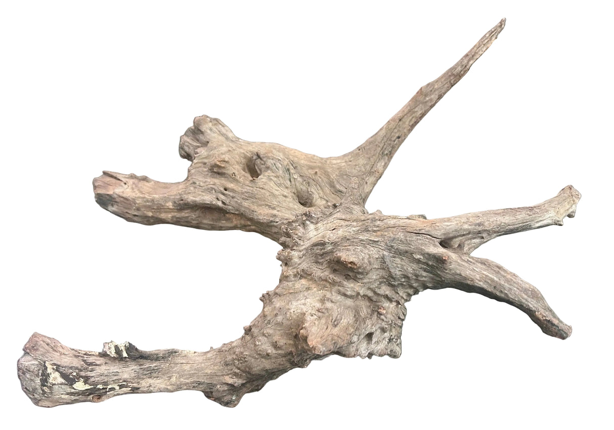 W.Y.S.I.W.Y.G.- 416 - Malaysian Mangrove Sinking Driftwood | Substrates & Hardscape | Largest Tropical Fish Selection at Your Local Fish Store