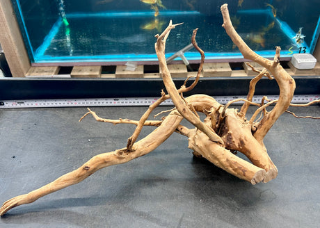 W.Y.S.I.W.Y.G.- 611 - Large Piece of Spiderwood