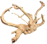 W.Y.S.I.W.Y.G.- 602-  Large Piece of Spiderwood | Substrates & Hardscape | Largest Tropical Fish Selection at Your Local Fish Store