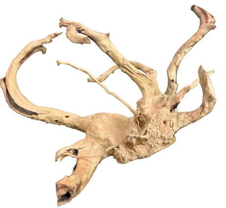 W.Y.S.I.W.Y.G.- 602-  Large Piece of Spiderwood | Substrates & Hardscape | Largest Tropical Fish Selection at Your Local Fish Store