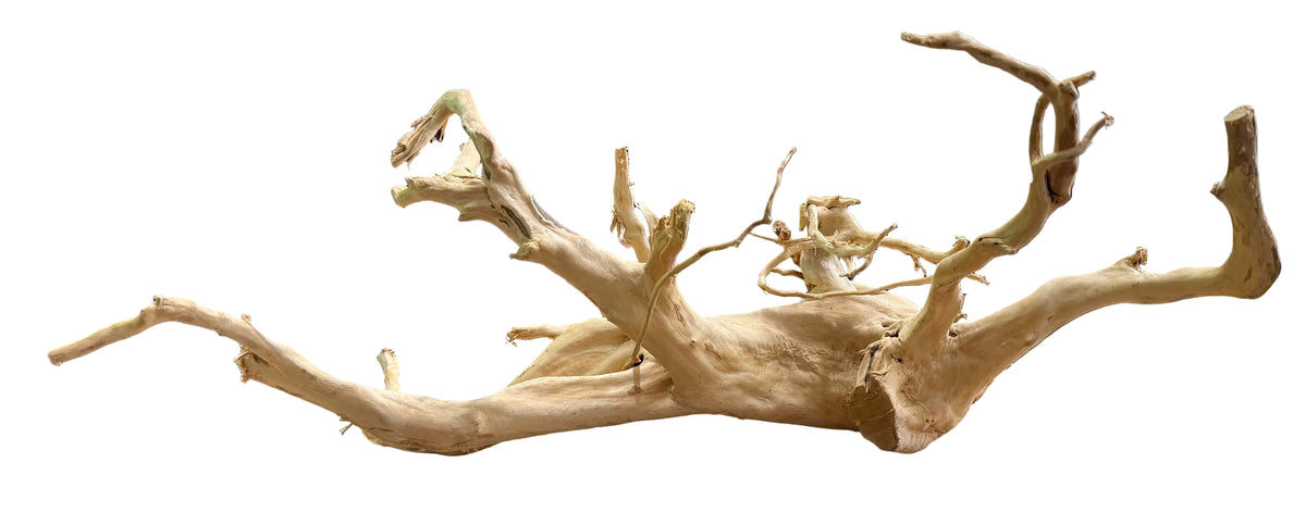 Large Piece of Spiderwood
