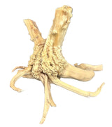 Piece of Spiderwood