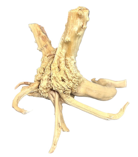 Piece of Spiderwood