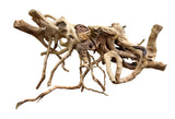  Piece of Spiderwood