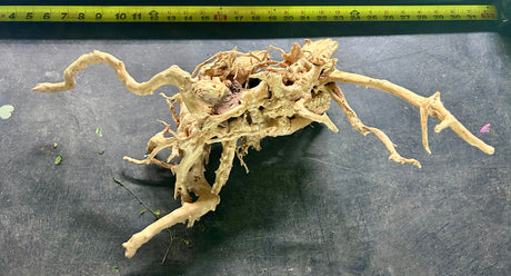 W.Y.S.I.W.Y.G.- 602 - Large Piece of Spiderwood