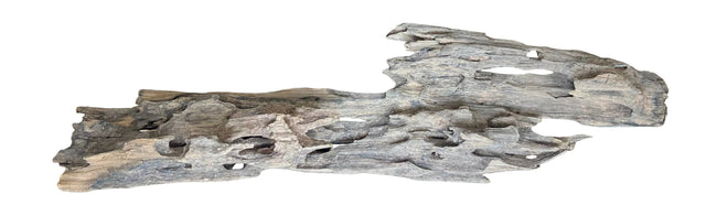 Texture / Shrimp Driftwood
