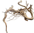 Large Piece of Spiderwood