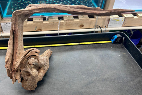 W.Y.S.I.W.Y.G.- 2001 - Malaysian Sinking Driftwood