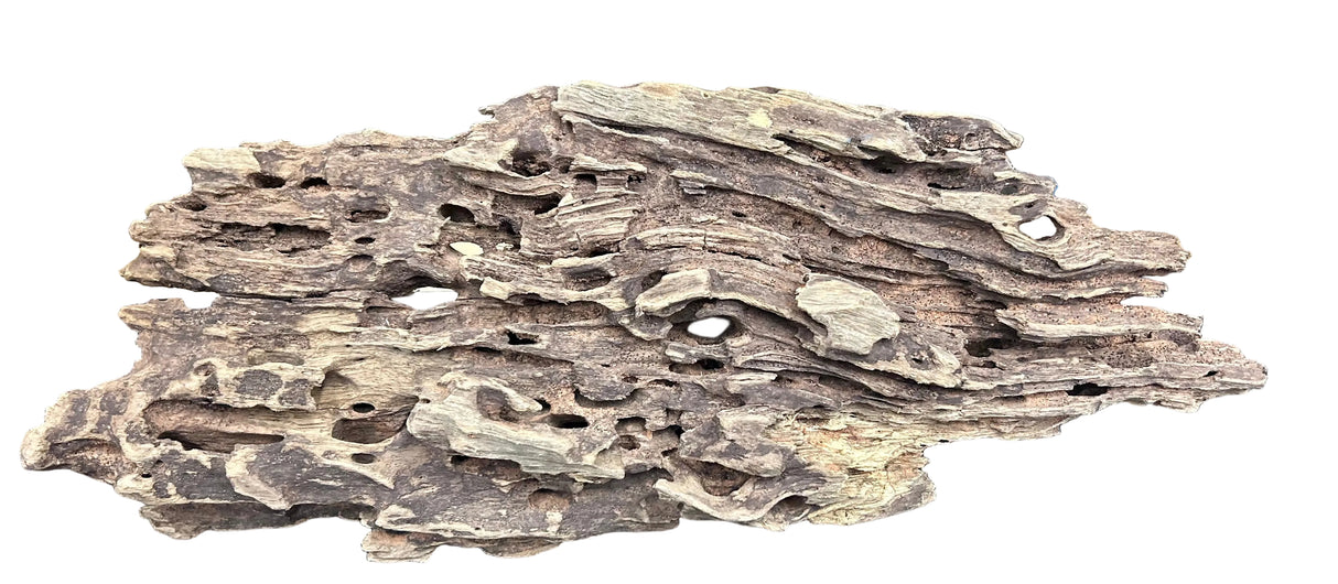 Texture / Shrimp Driftwood