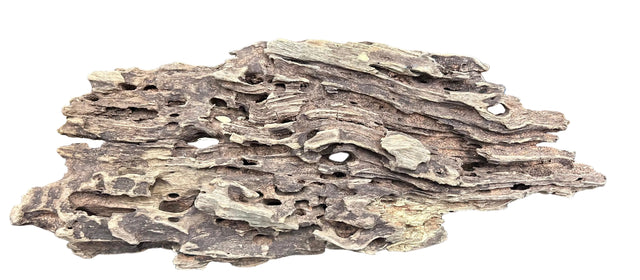 Texture / Shrimp Driftwood
