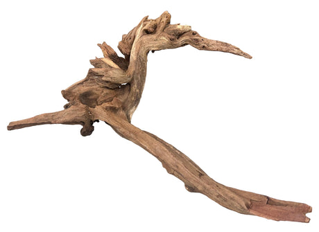Malaysian Mangrove Wood