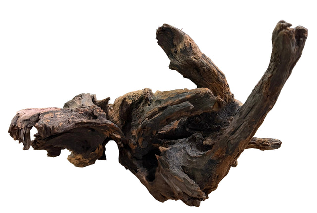  Malaysian Sinking  Driftwood