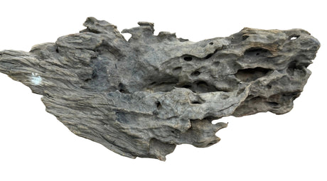 Texture / Shrimp Driftwood