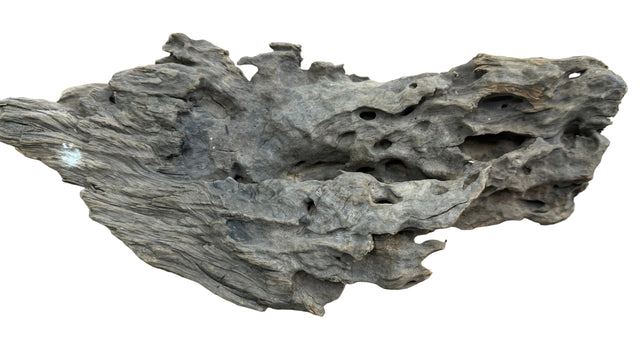 Texture / Shrimp Driftwood