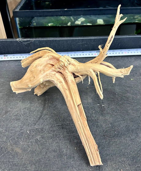 W.Y.S.I.W.Y.G.- 604 - Piece of Spiderwood