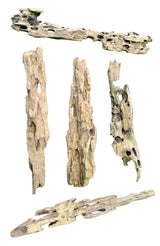 Texture / Shrimp Driftwood