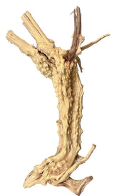  Piece of Spiderwood