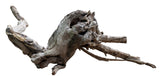 Malaysian Sinking Driftwood