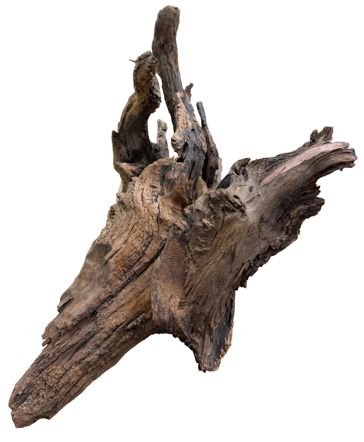  Malaysian Sinking  Driftwood