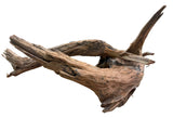 Malaysian Mangrove Sinking Driftwood