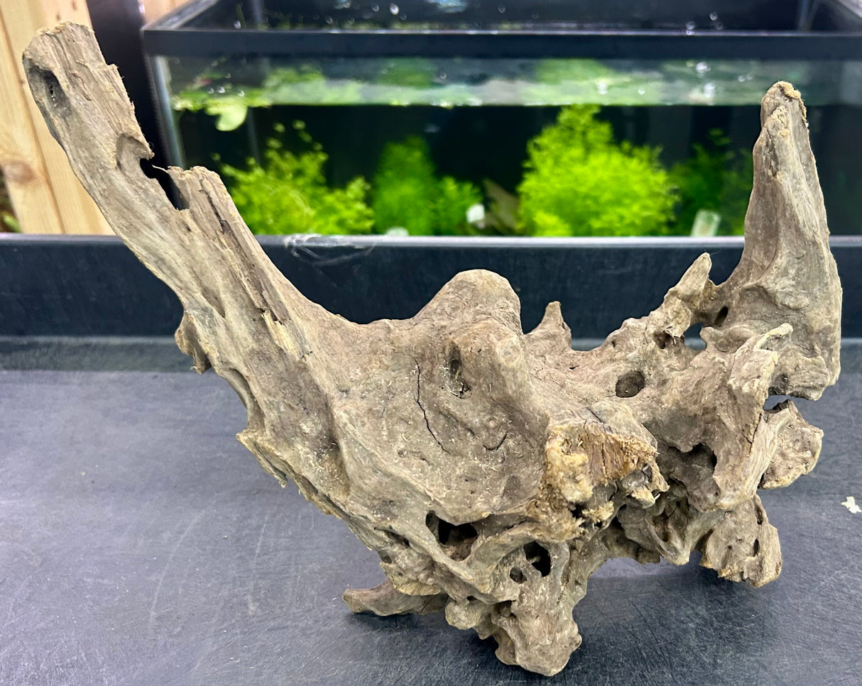 W.Y.S.I.W.Y.G.- 207 - Texture / Shrimp Driftwood