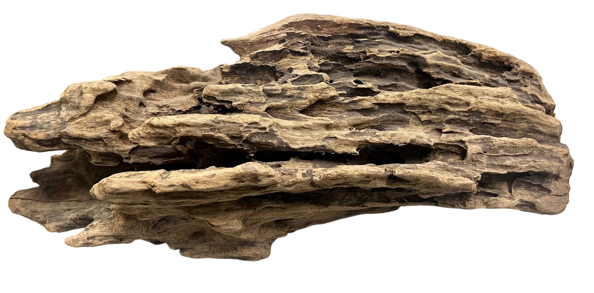 Texture / Shrimp Driftwood